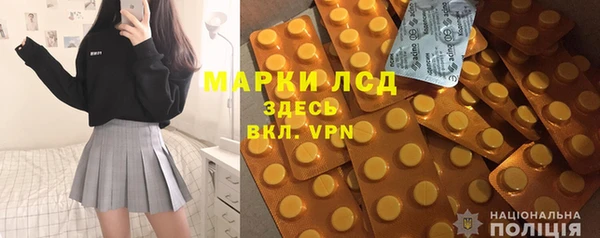 шишки Ельня