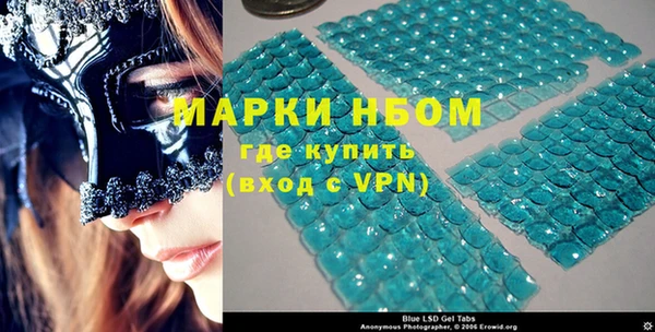 шишки Ельня