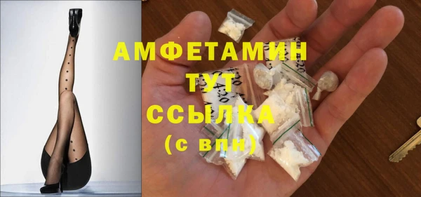 шишки Ельня