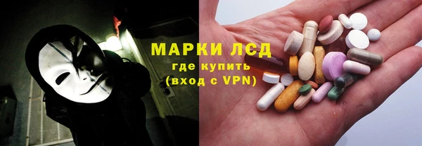 шишки Ельня