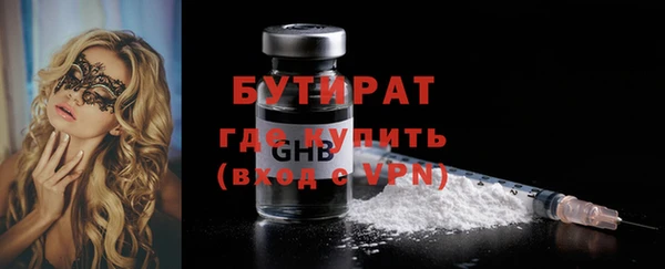 шишки Ельня