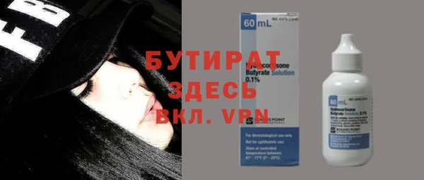 шишки Ельня