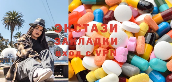 шишки Ельня
