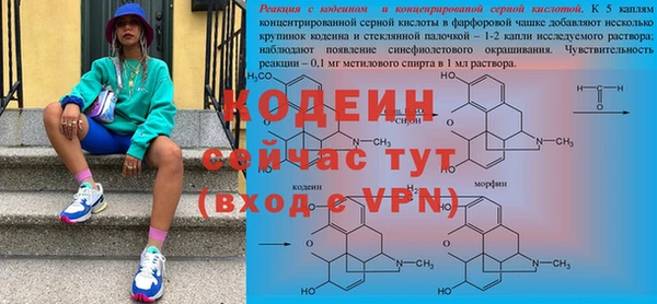 шишки Ельня