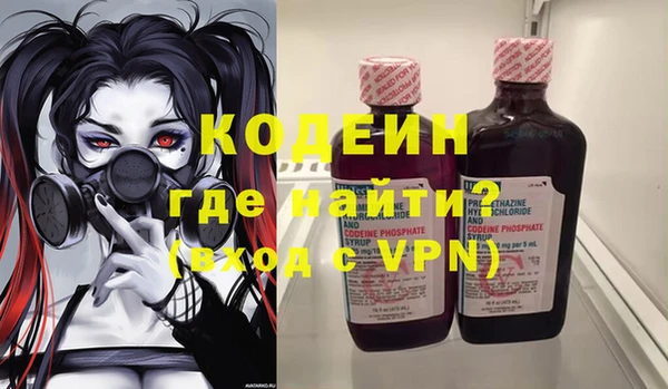 шишки Ельня