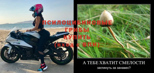 мяу мяу кристалл Елизово