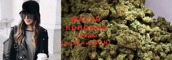 шишки Ельня