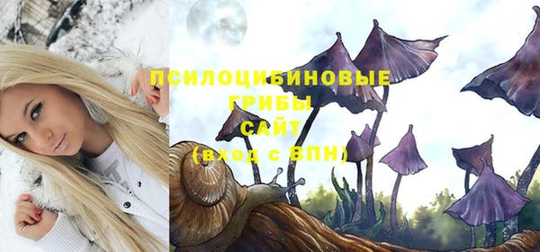 шишки Ельня