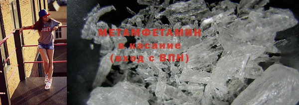 шишки Ельня