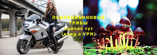 шишки Ельня