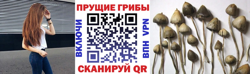 Купить  Урай  Галлюциногенные грибы мухоморы 